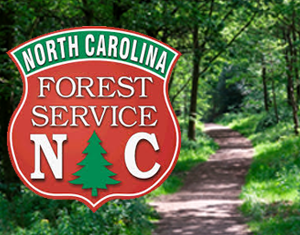  NC Forest Service