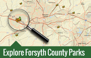 Explore Forsyth County Parks